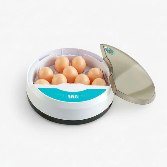 Automatic Egg Incubator - LED Display - Temperature Control