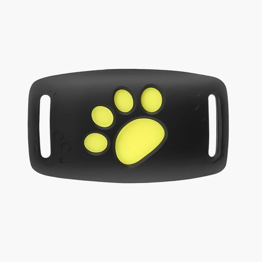 GPS Cat Collar - Real-Time Tracking - Satellite Technology