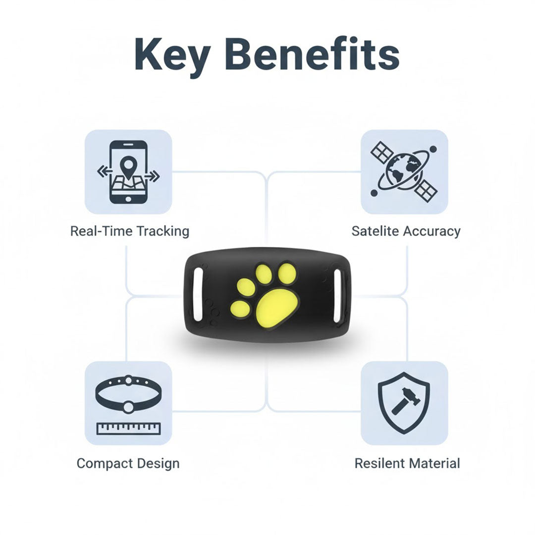 GPS Cat Collar - Real-Time Tracking - Satellite Technology