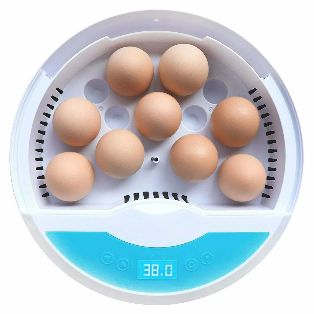 Automatic Egg Incubator - LED Display - Temperature Control