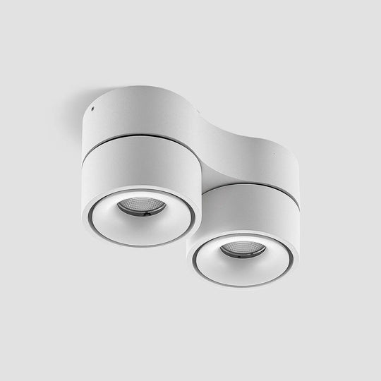 Ceiling Light Fixture - Adjustable Spotlights - LED Light - Luvonic