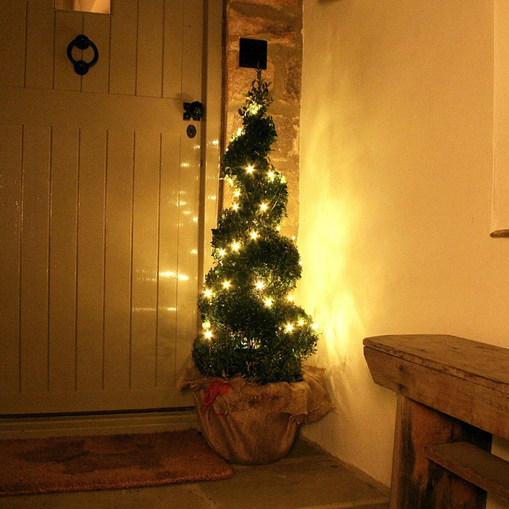 Fairy Lights - Warm White - Christmas Decorations