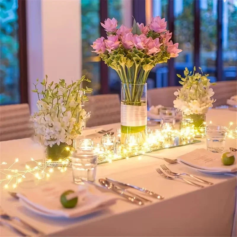 Indoor Christmas LED Lights - USB Powered - Remote Controlled