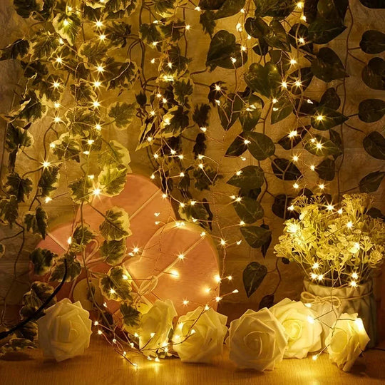 Indoor Christmas LED Lights - USB Powered - Remote Controlled