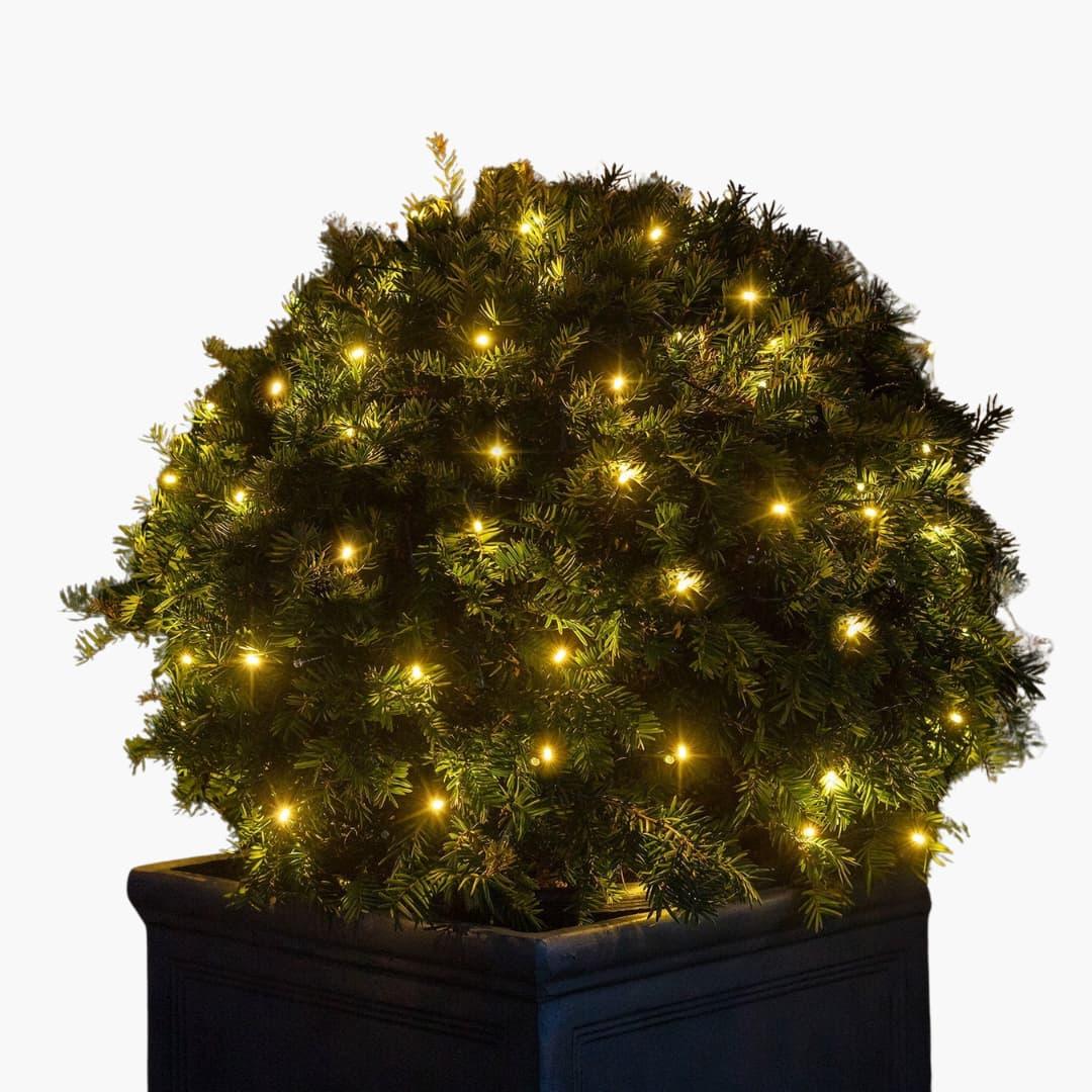 Outdoor Fairy Lights - LED String Lights