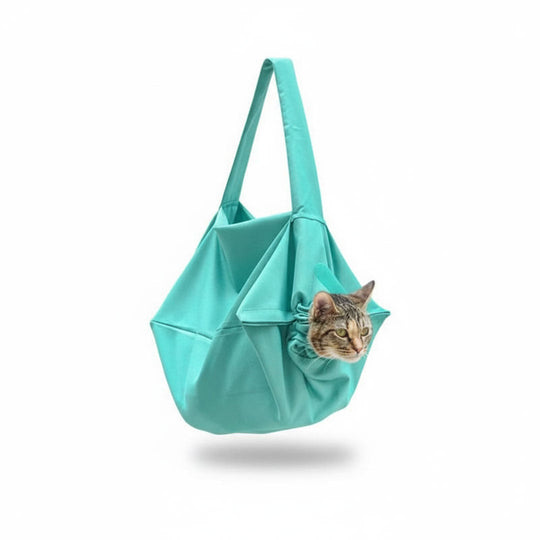 Cat Carrier with Mesh Ventilation and Secure Design