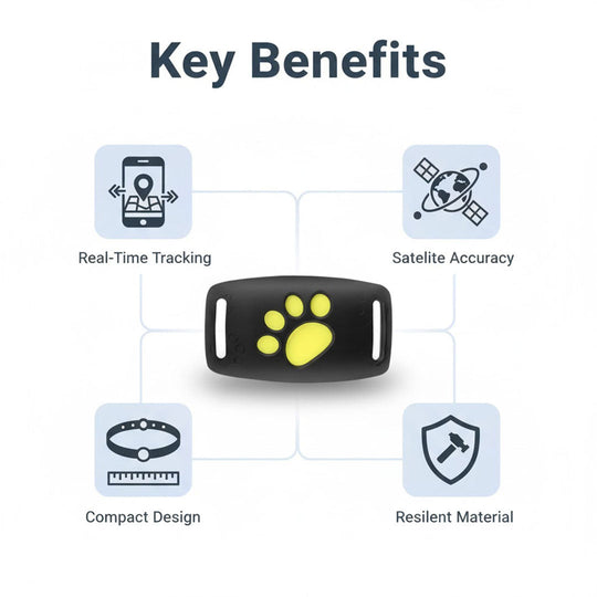 Cat Collar with GPS Tracking and Satellite Technology