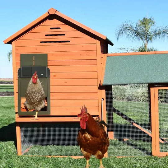 Chicken Coop Door with Light Sensor and Battery Power