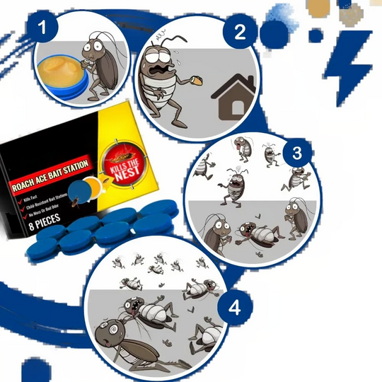 Cockroach Traps with Odorless Design and Effective Adhesive