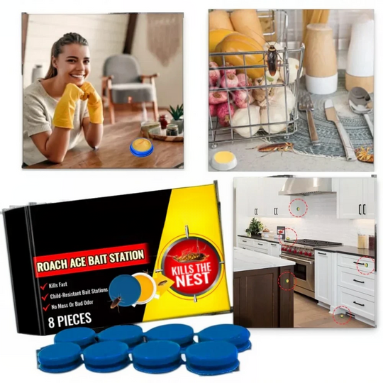 Cockroach Traps with Odorless Design and Effective Adhesive