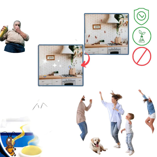 Cockroach Traps with Odorless Design and Effective Adhesive