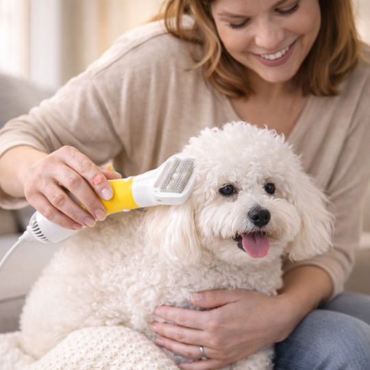 Dog Grooming Kit with Hair Dryer and Brush