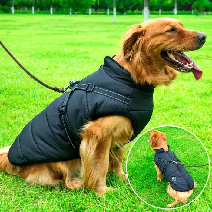 Dog Jacket with Winter Design and Harness Attachment