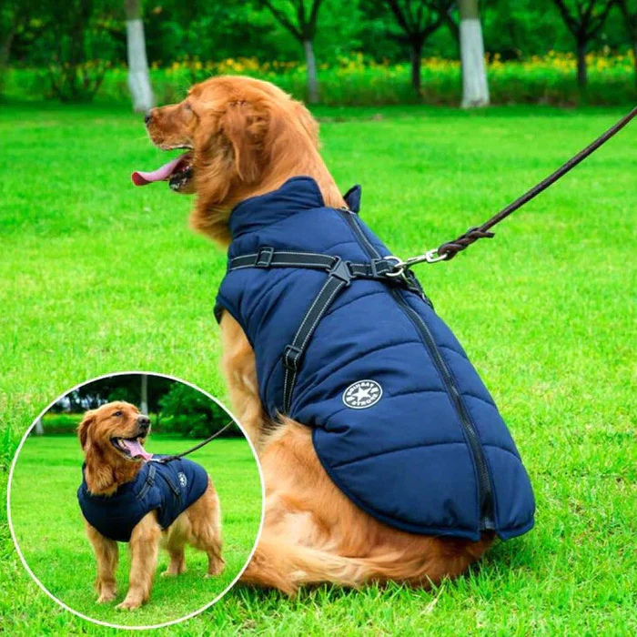 Dog Jacket with Winter Design and Harness Attachment