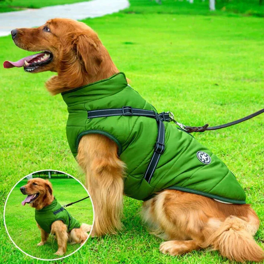 Dog Jacket with Winter Design and Harness Attachment