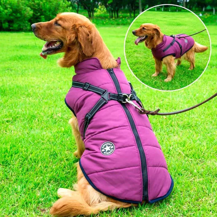 Dog Jacket with Winter Design and Harness Attachment