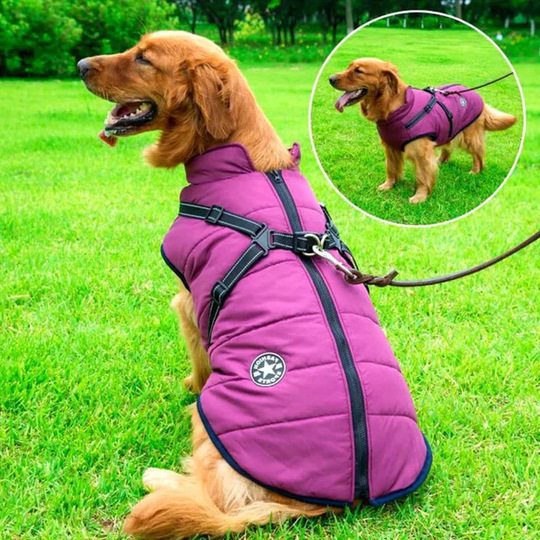 Dog Jacket with Winter Design and Harness Attachment