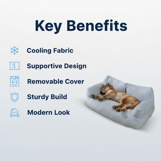 Dog Sofa with Cooling Fabric and Supportive Design