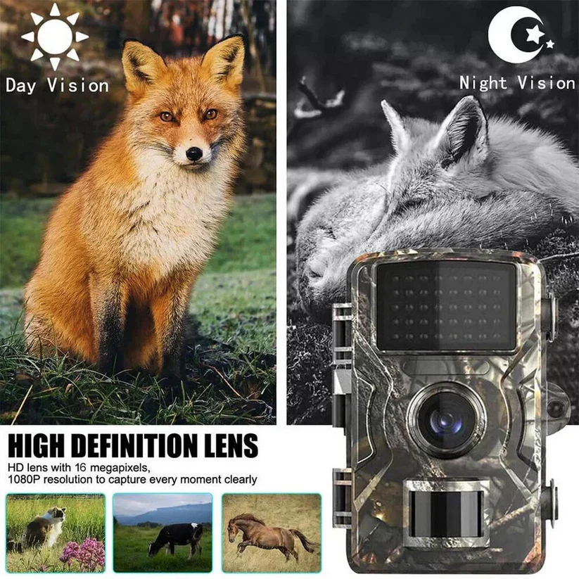 Wildlife Camera with Night Vision and Motion Detection
