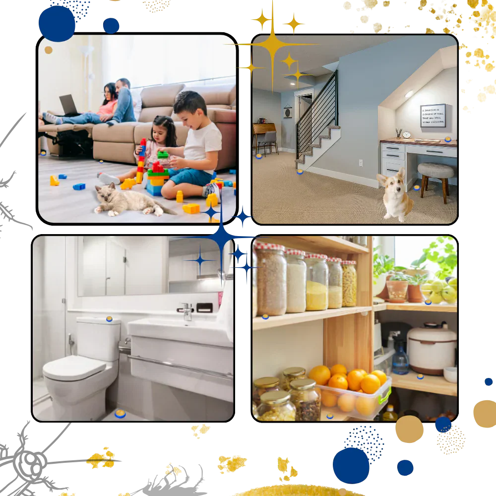 Cockroach Traps with Odorless Design and Effective Adhesive