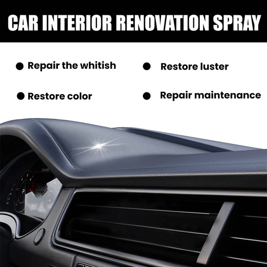 Car Interior Cleaning Kit with Upholstery Brush and Stain Remover