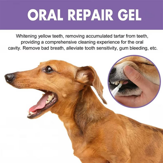 Dog Oral Care Gel with Repair Formula and Soothing Properties
