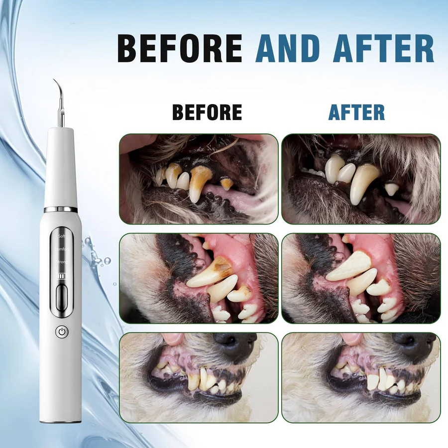 Dog Dental Care with Tartar Control and Calculus Removal