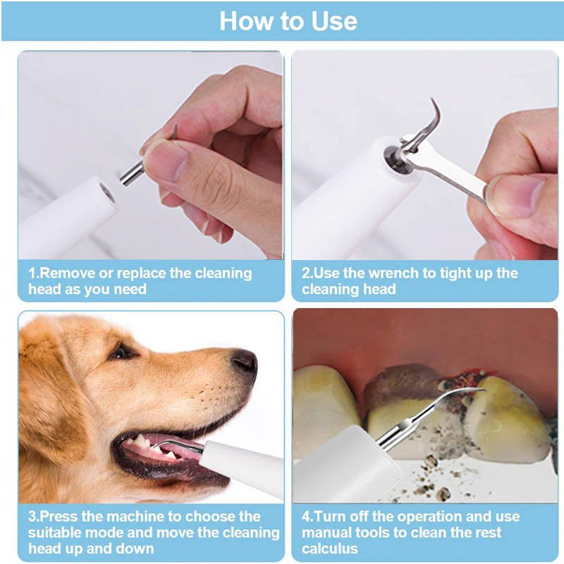Dog Dental Care with Tartar Control and Calculus Removal