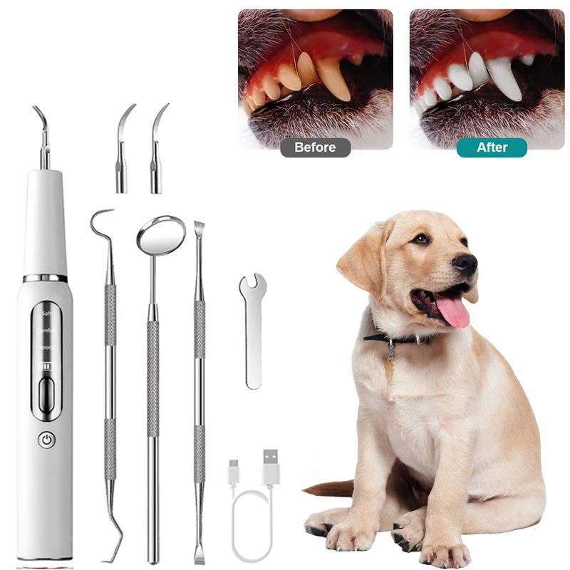 Dog Dental Care with Tartar Control and Calculus Removal