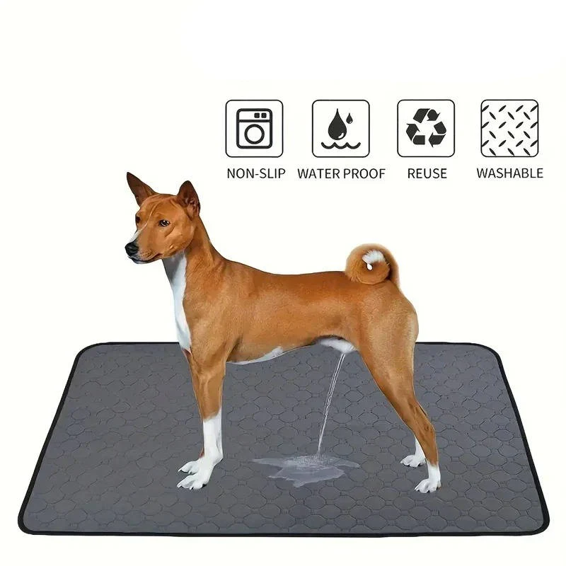 Dog Pee Pads with Disposable and Reusable Options