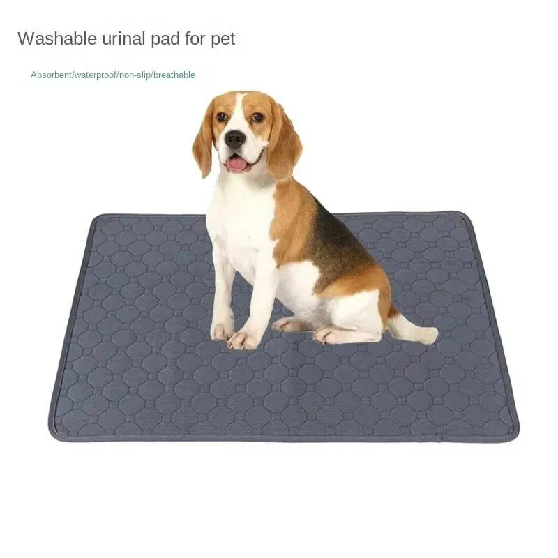 Dog Pee Pads with Disposable and Reusable Options