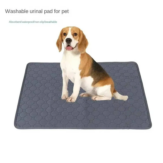 Dog Pee Pads with Disposable and Reusable Options