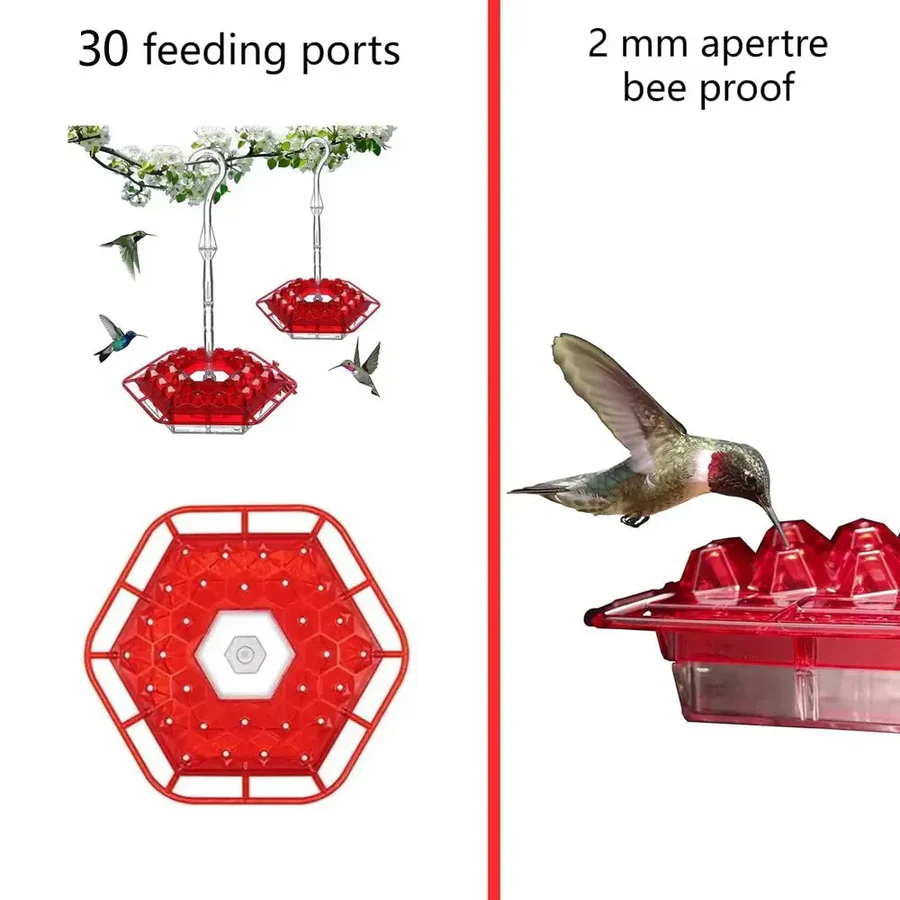 Hummingbird Feeder with Leak Proof Design and Ant Guard