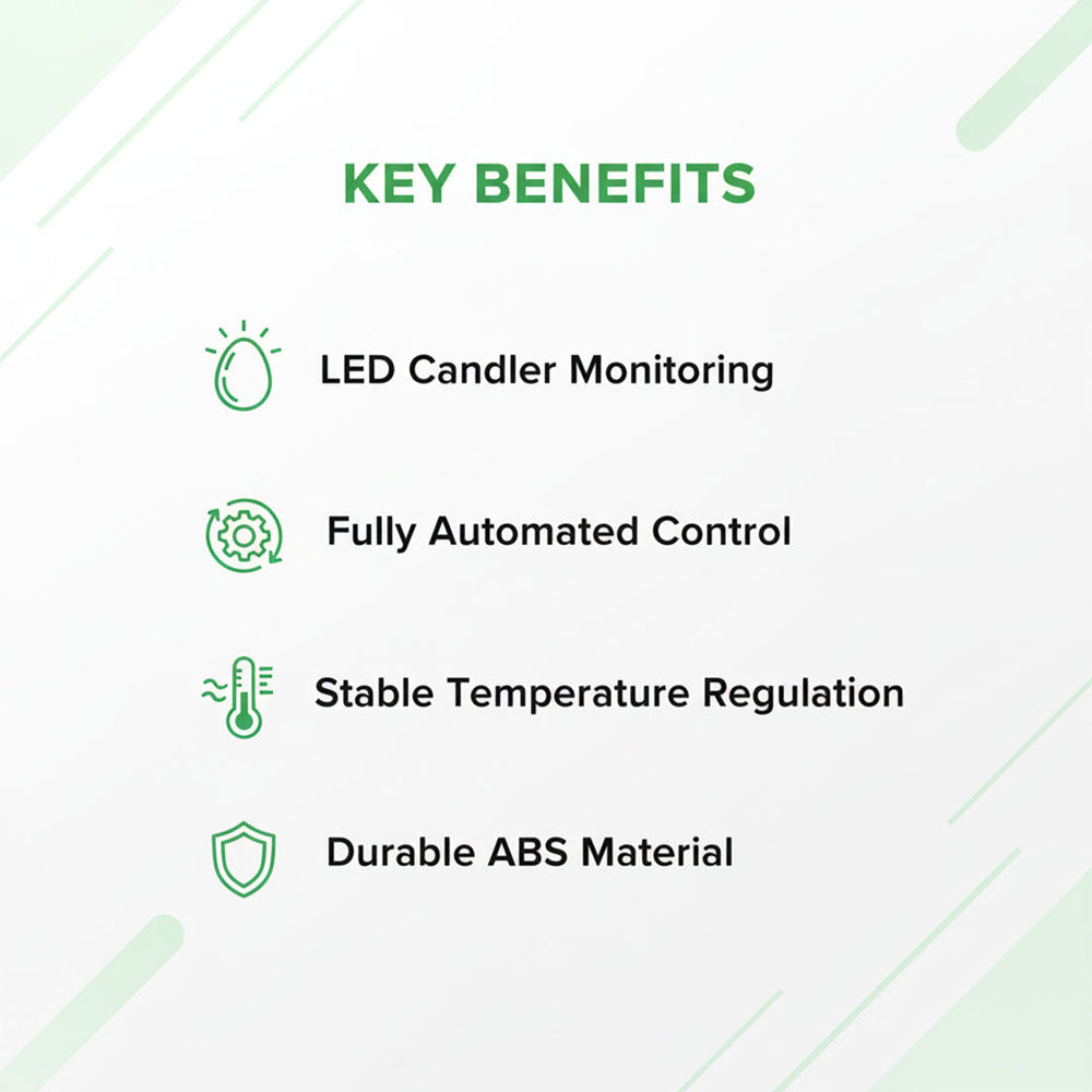 Egg Incubator with LED Display and Temperature Control
