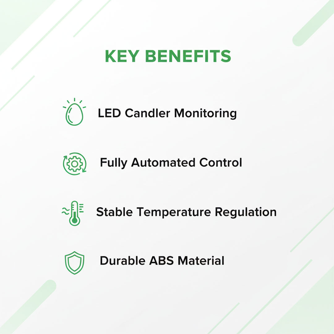 Egg Incubator with LED Display and Temperature Control