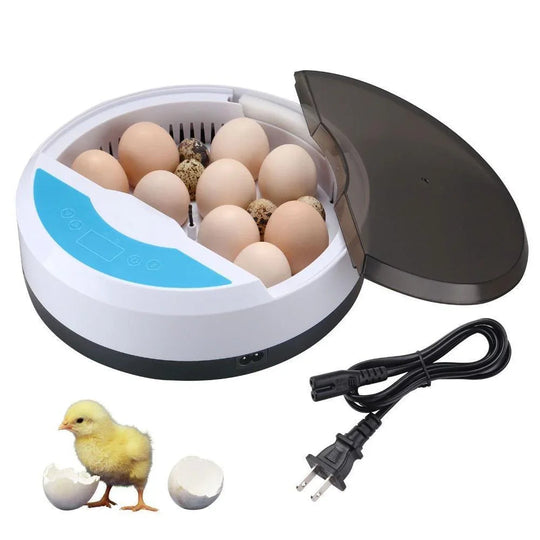 Egg Incubator with LED Display and Temperature Control