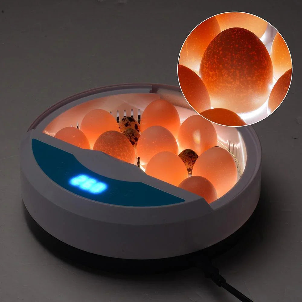 Egg Incubator with LED Display and Temperature Control