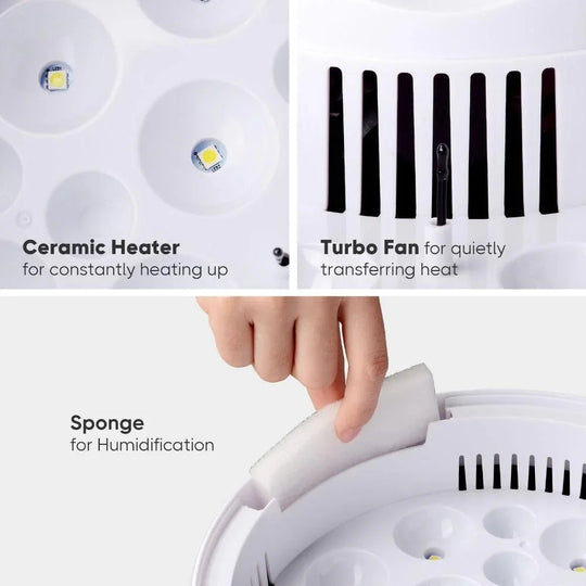 Egg Incubator with LED Display and Temperature Control