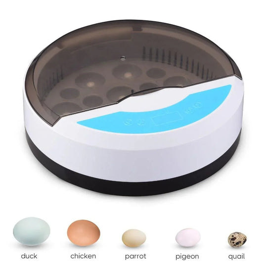 Egg Incubator with LED Display and Temperature Control