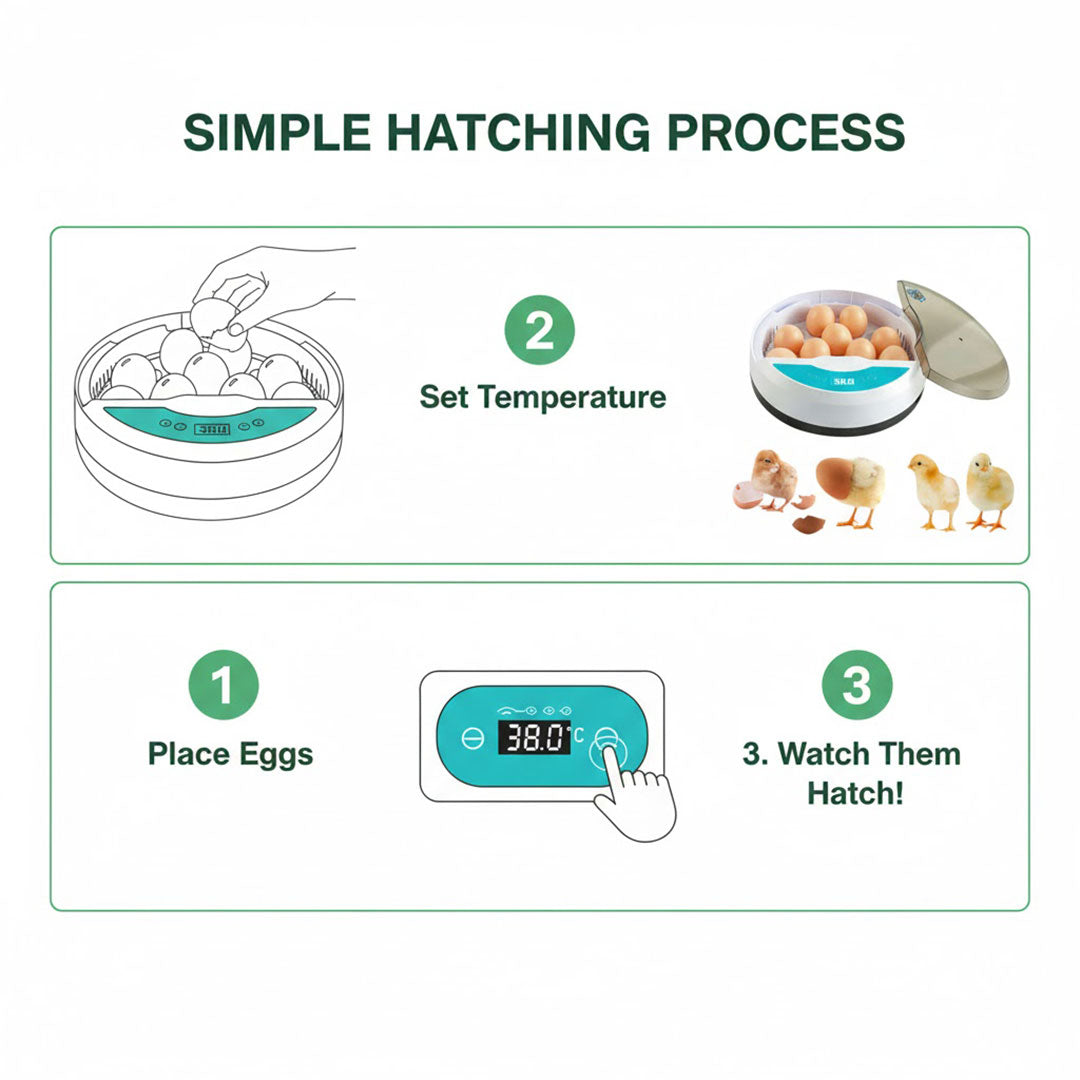 Egg Incubator with LED Display and Temperature Control