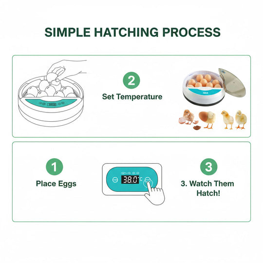 Egg Incubator with LED Display and Temperature Control