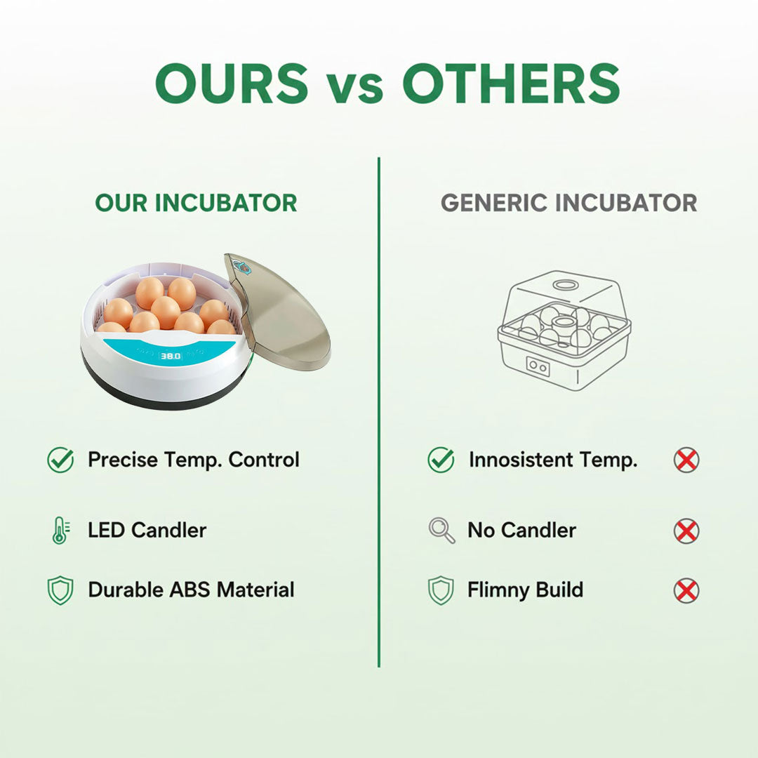 Egg Incubator with LED Display and Temperature Control