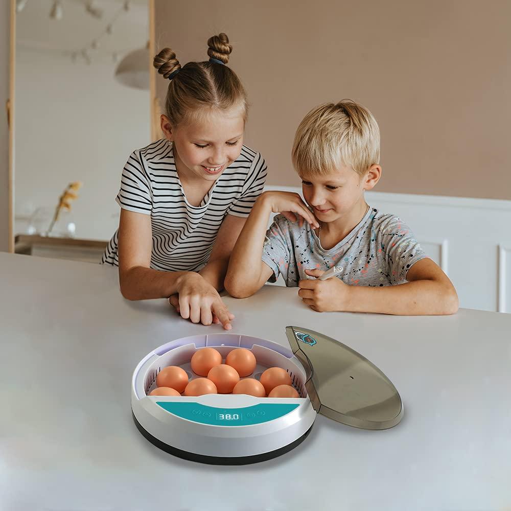 Egg Incubator with LED Display and Temperature Control