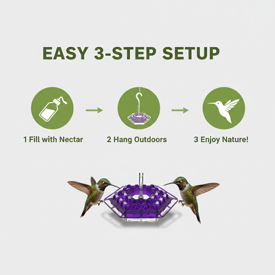 Hummingbird Feeder with Ant Resistance and Hanging Design