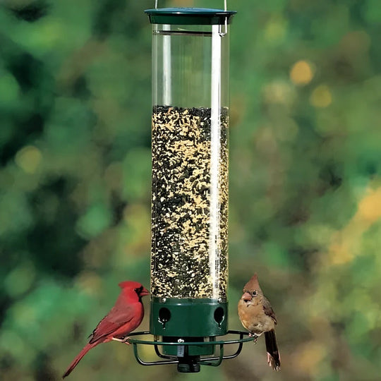 Bird Feeder with Squirrel Resistance and Durable Design
