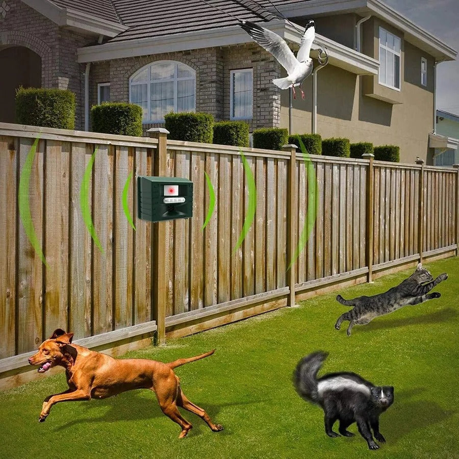 Bird Repeller with Ultrasonic Technology and Effective Control