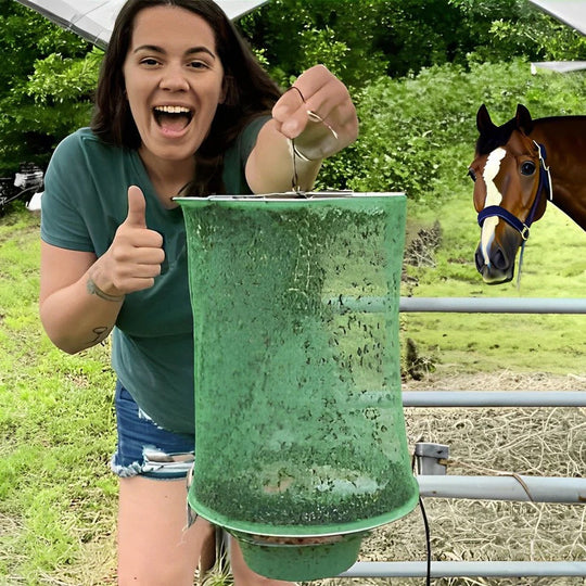 Fly Control Trap with Easy Setup and Effective Bait