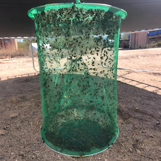 Fly Control Trap with Easy Setup and Effective Bait