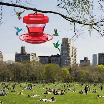 Hummingbird Feeders with Bee Proof Design and Perch