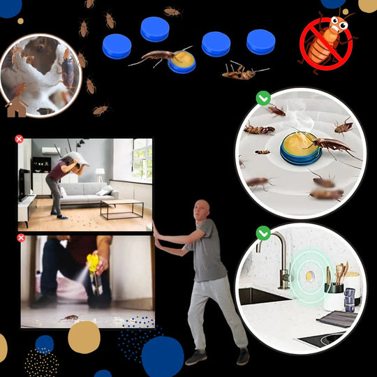 Cockroach Traps with Odorless Design and Effective Adhesive